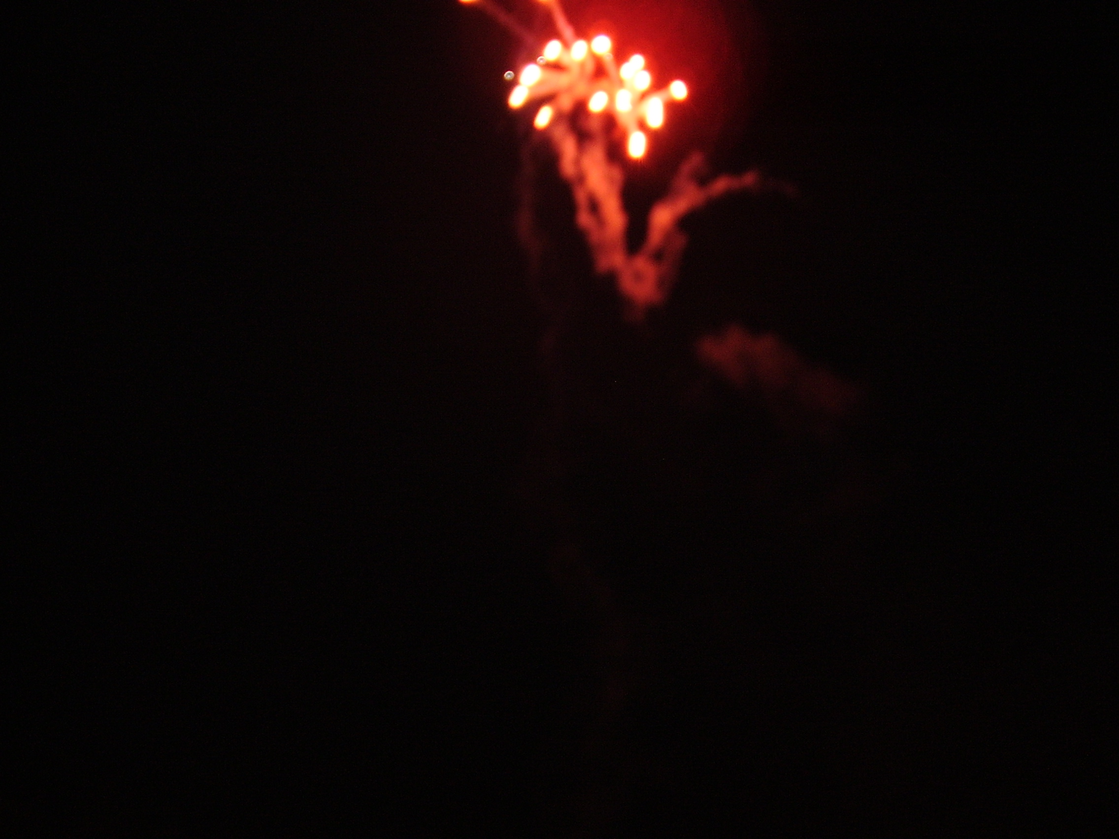 PB030021.JPG